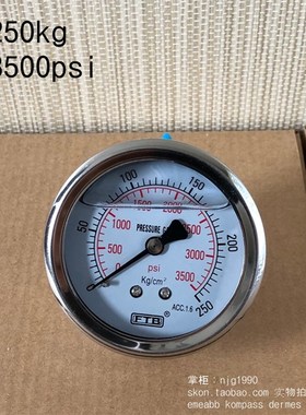 FTB轴向充油压力表0-250kg液压表3500psi气压表铜接头PT1/4牙