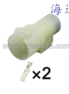 2p护套汽车大功率防水连接器国产白色DJ7021FA-6.3-11/21带端子