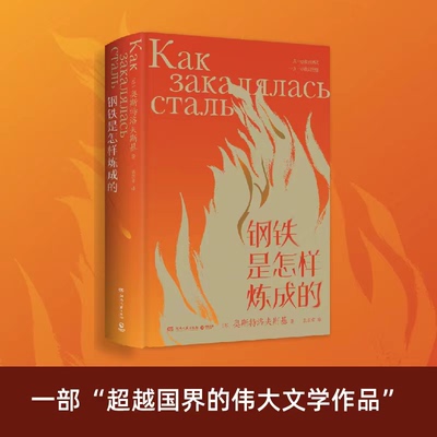 钢铁是怎样炼成的小学生课外阅读