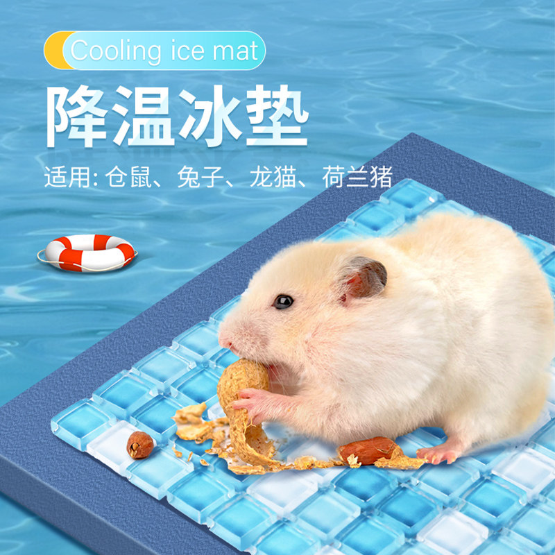 仓鼠冰垫夏天宠物降温散热板金丝熊龙猫凉席垫夏季冰凉床避暑神器