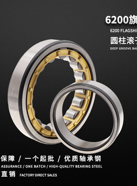 圆柱滚子轴承NJ305 306 307 308 309 310 311 312 313 314 315 EM