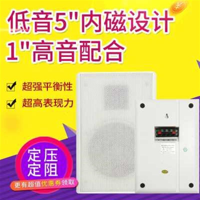 新品10W薄边型广播壁挂音箱超市餐厅教室家居背景音乐定压定阻喇