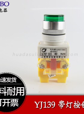 上海银波 带灯按钮自复位开孔22MM自锁LAY37-11D 11DNZS 铜件铝帽