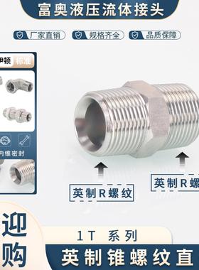 高压油管接头永华标准1T-SP英制PT外螺纹接直通BSPT锥螺纹ZG对丝