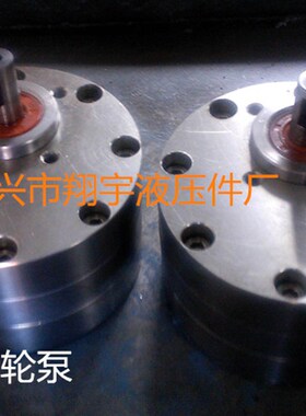 供应优质CB-BNS2.5/CB-BNS4/不锈钢齿轮油泵.不锈钢胶水泵。水泵