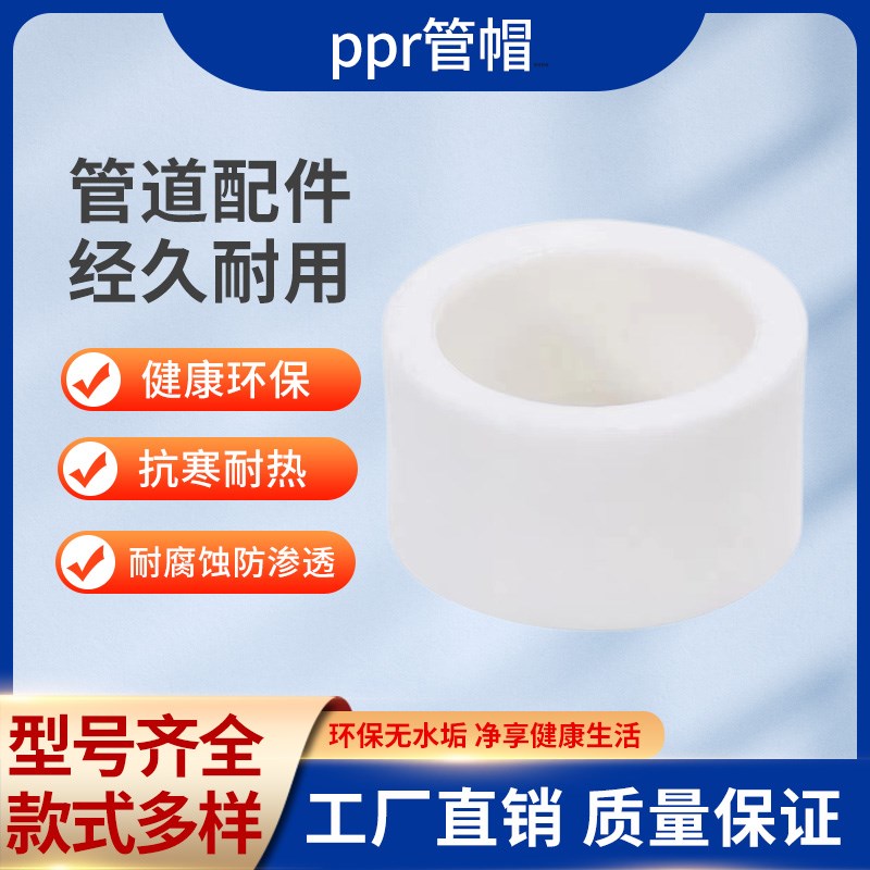 PPR管帽 ppr堵帽热熔管堵头管帽20 25 32管盖4分6分 水堵管件配件