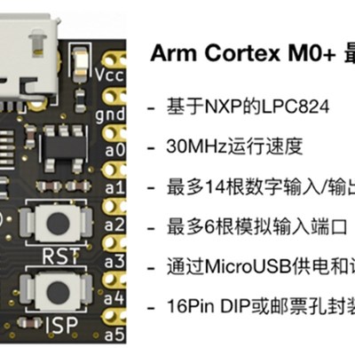NXP LPC845单片机开发板 小系统板 迷你核心板 学习板ARM实验板