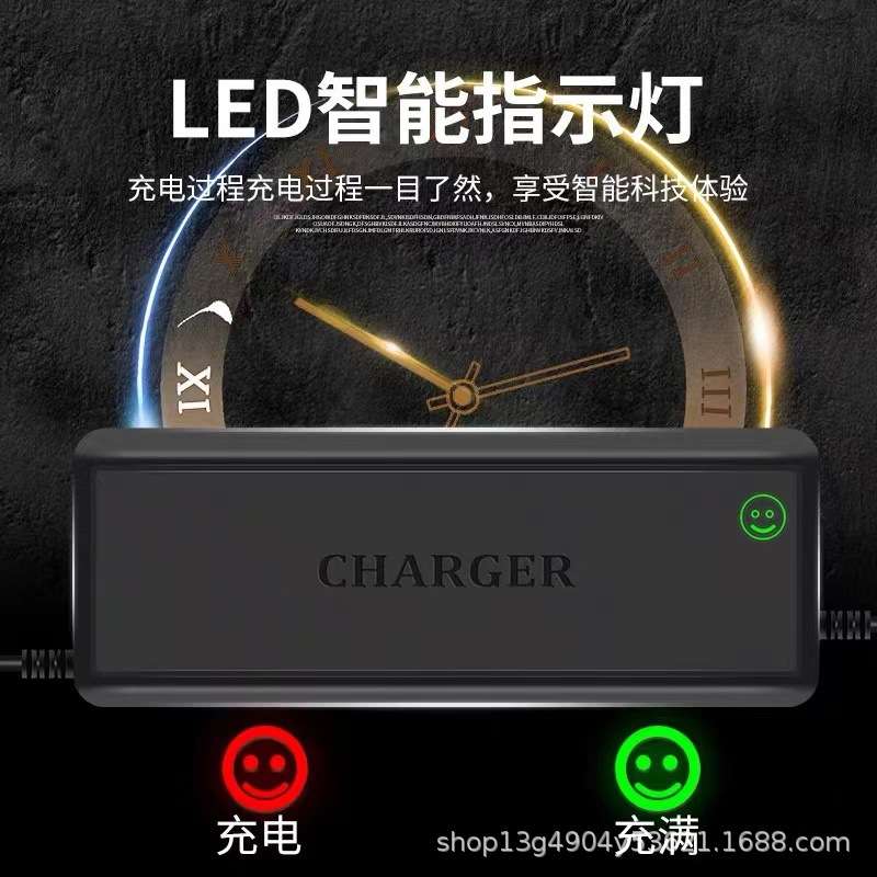 电动叉车充电器液压堆高车推高12V24V20A30A观光代步车电瓶充电机