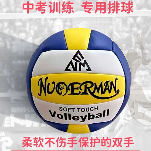 贝婴树排球5号学生款软皮排球x防爆耐磨排球机缝PU青少年比赛训练
