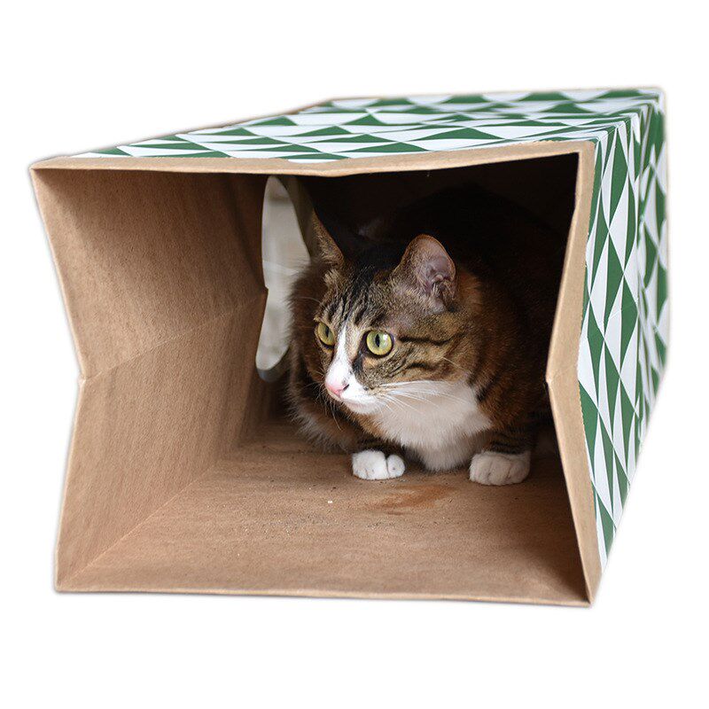 领养之家/伴诺j宠物玩具猫咪用品猫玩具猫咪通道隧道自嗨纸猫屋