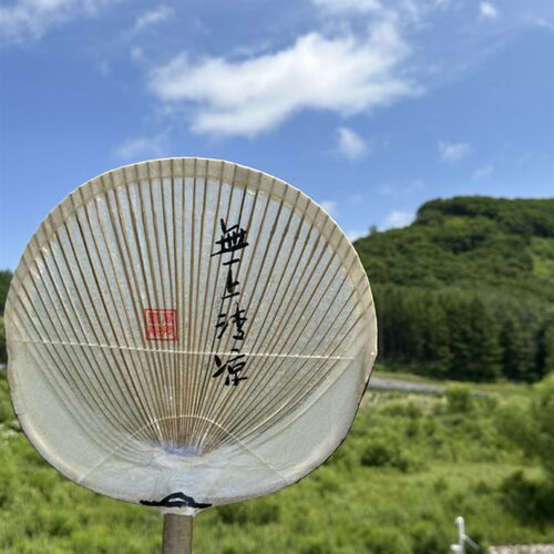 福安油扇a官埔油扇团扇传统手工艺蒲扇油纸扇子非遗端午节送礼