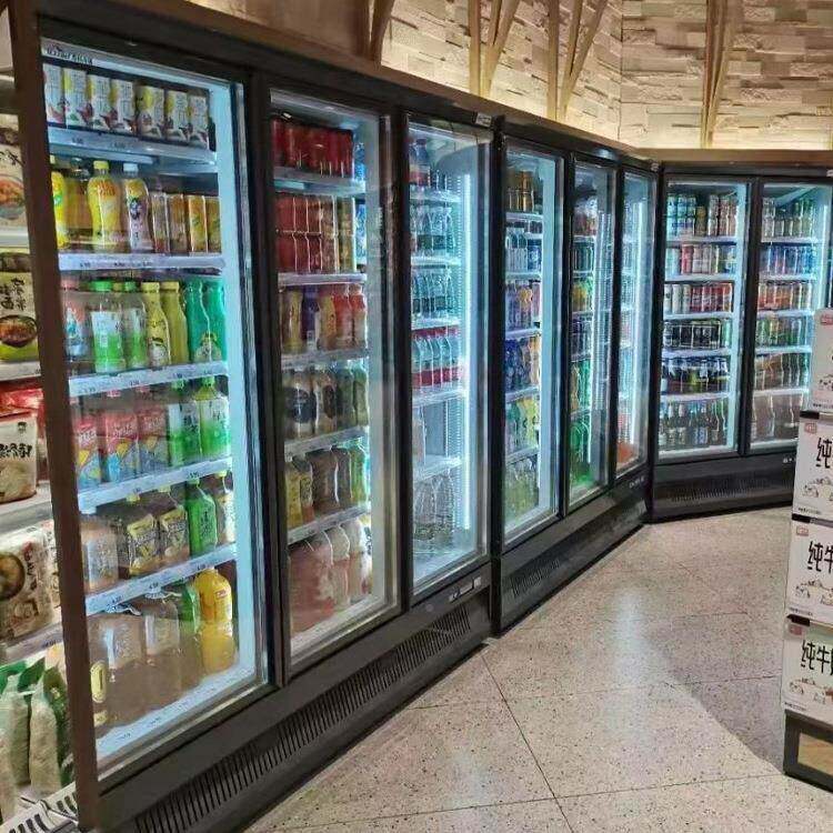 冰柜商用立展冷冻柜超市大容量立式示柜双门无冷柜饮霜207料柜式