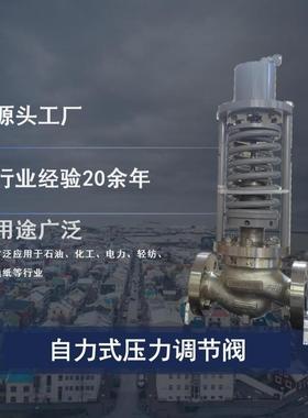 ZZY 型自力式压力调节阀 ZZY Self-operated Pressure Regulatin