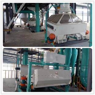 芝麻筛选去石机胡麻籽一风选一筛选一去石清理加工成套设备