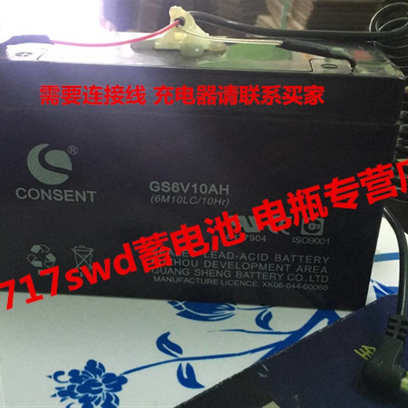 原厂CONSENT GS6V10AH (6M10LC/10HR)电子称 玩具车 地磅用电瓶