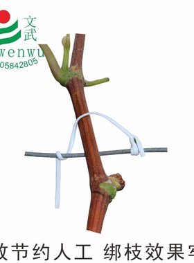 绑葡萄扎丝绑枝扎带 12cm1000条 绑蔓条扁扎线包胶绑带线捆架扎丝