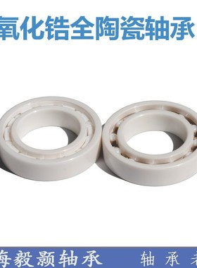 抗高温氧化锆全陶瓷轴承6307 6308 6309 6310 6311 6312 6314CE
