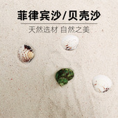 鱼缸造景底砂菲律宾沙贝壳沙珊瑚砂白沙子三湖慈鲷寄居蟹天然海沙