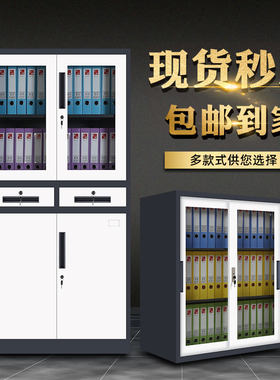 包邮彩色钢制文件柜财务凭证柜资料柜高品质豪华款加厚铁皮柜矮柜