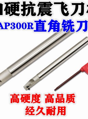 BAP300R抗震铣刀杆装1135刀片直角铣刀杆CNC加工中心刀杆R0.8刀粒