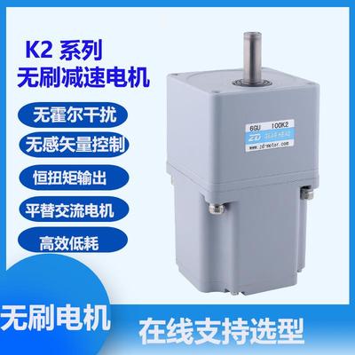 中大高压无感无刷电机220VK2系列平替微型交流电机齿轮减速电机