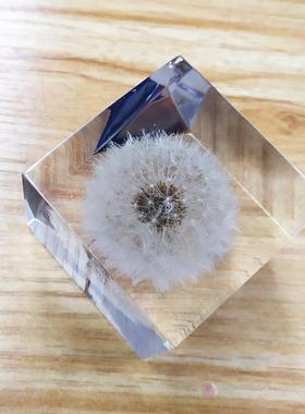 水晶胶工艺品摆件内嵌蒲公英植物标本永生花枫叶高透明耐黄变镇纸