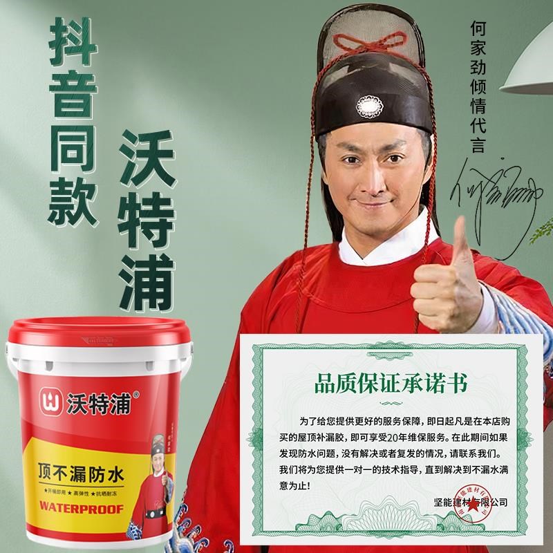 防水涂料补漏材料屋顶楼顶v漏水防水胶屋面顶不漏房顶平房防漏专