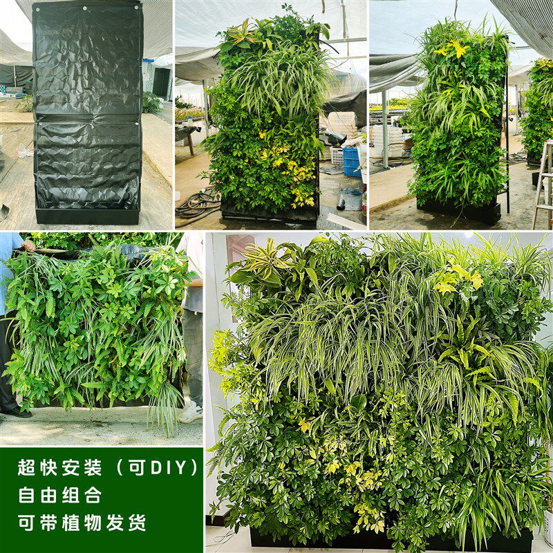 真植物墙安装施工极简绿植背景墙移D动屏风隔断花架立体种菜种植