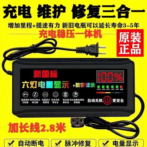 德国进口(2.8米加长线)天能电池电动车电瓶车充电器48V60V64V72V2