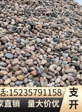 福建工程鹅卵石天然原石花园变压器铺路铺地造景大号河卵石滤料石