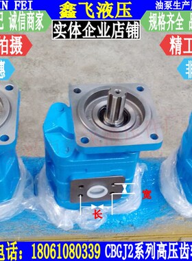 CBGJA2032齿轮泵CBGJb2040液压泵CBGJ2050 CBGJB2055高压油泵JHP