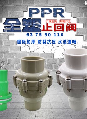 PPR全塑止回阀63 75 90 110