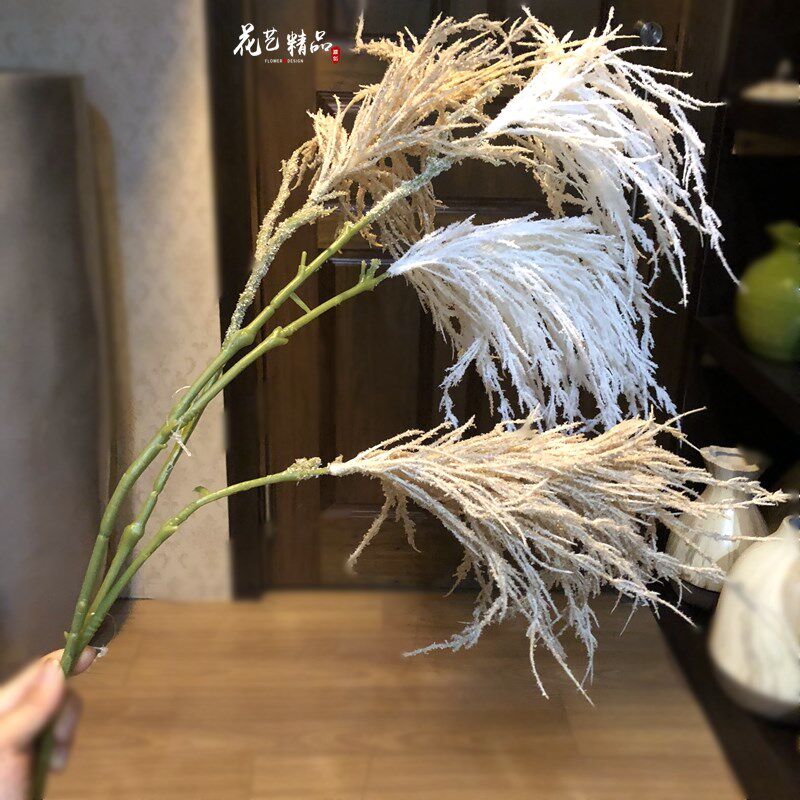 原色白色芦苇干花假花狗尾草仿真花婚庆屋顶垂吊造景布景 芦苇丛