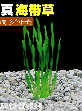鱼缸造景装饰仿真迷你海草小海带仿真塑料水草仿真水草鱼缸摆件