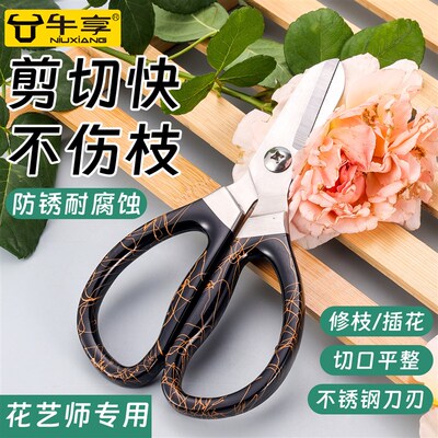 牛享花艺剪修花枝剪刀园艺鲜花插花家用剪花枝花草店专用工具剪刀