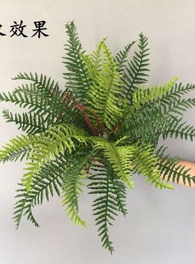 仿真植物波斯蕨草植物墙花艺蜈蚣草园林工程假绿植蕨类