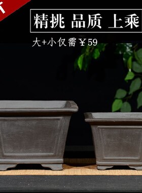 宜兴 紫砂 促销兰花盆微景观桌面四方形简约盆景盆办公室绿植育苗