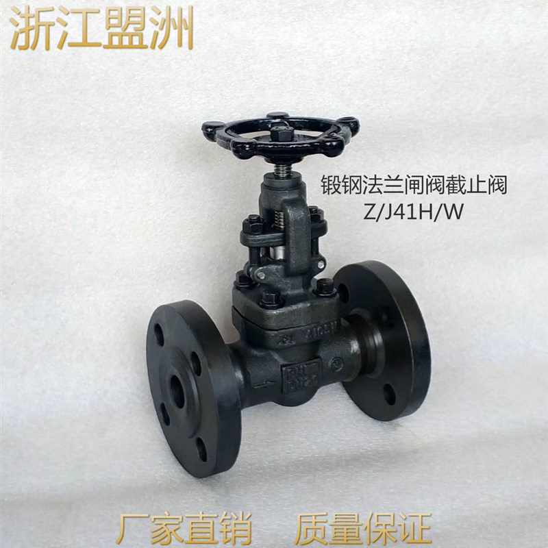 锻压不锈钢法兰国标闸阀截止阀F304/F321/F316  Z/J41W-PN160