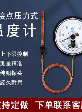 WTZ-288电接点压力式温度计温度表油温变压器水温上下限控制