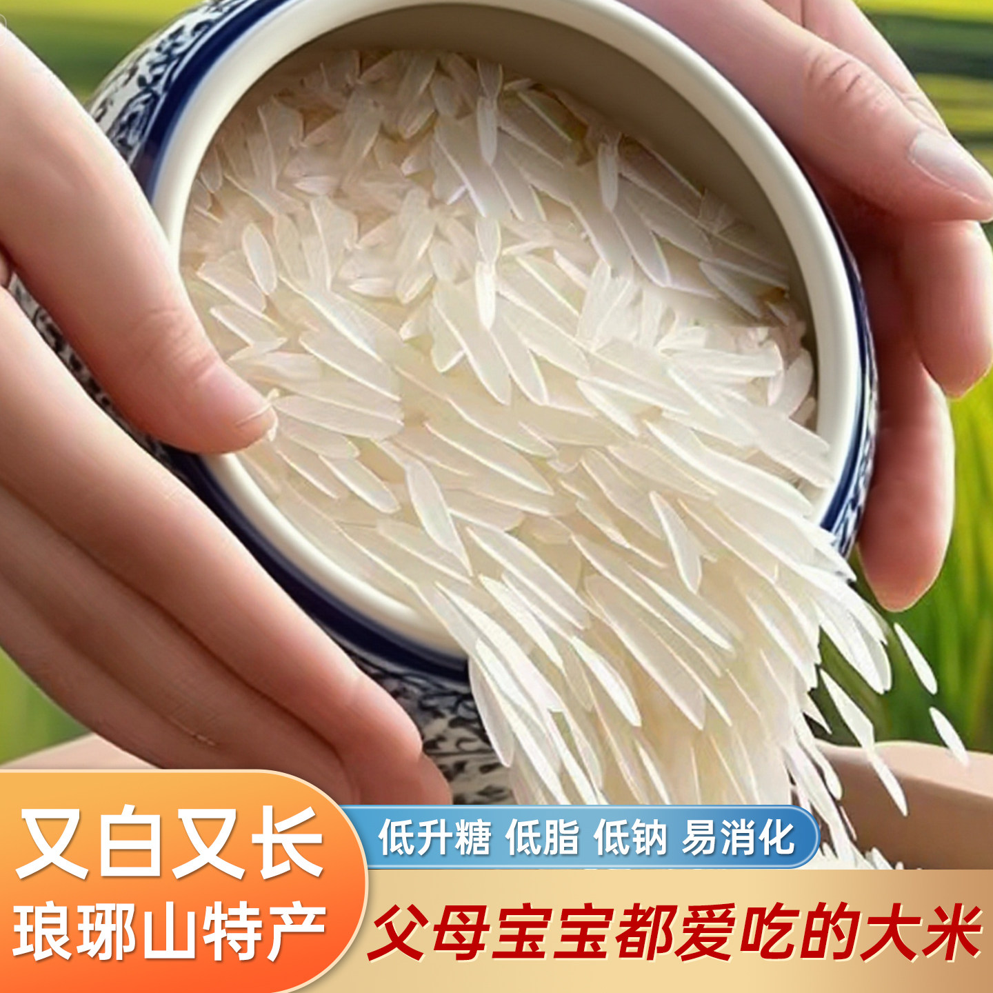 一级猫牙米泰国香米丝苗米农家当季大米1斤5斤10斤大长粒米