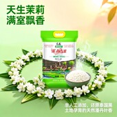 大米泰国香米官方旗舰店茉莉香米2025年新米猫牙米丝苗米胚芽米