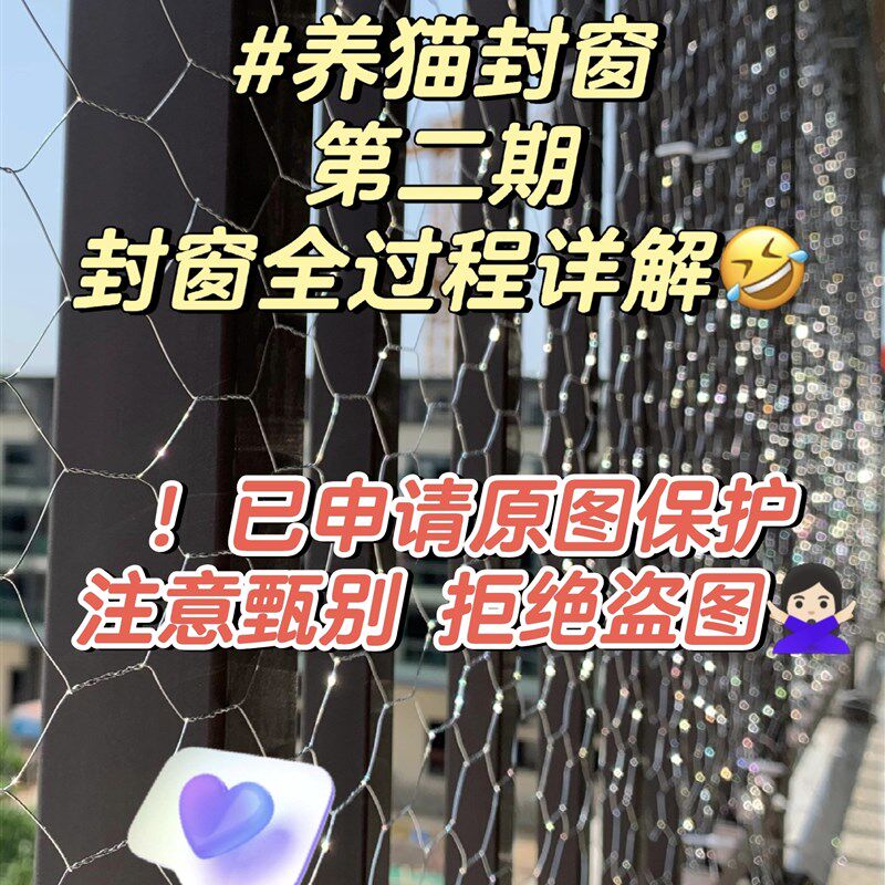 镀锌六角铁丝网养猫隐形封窗租J房防护猫咪网阳台封网