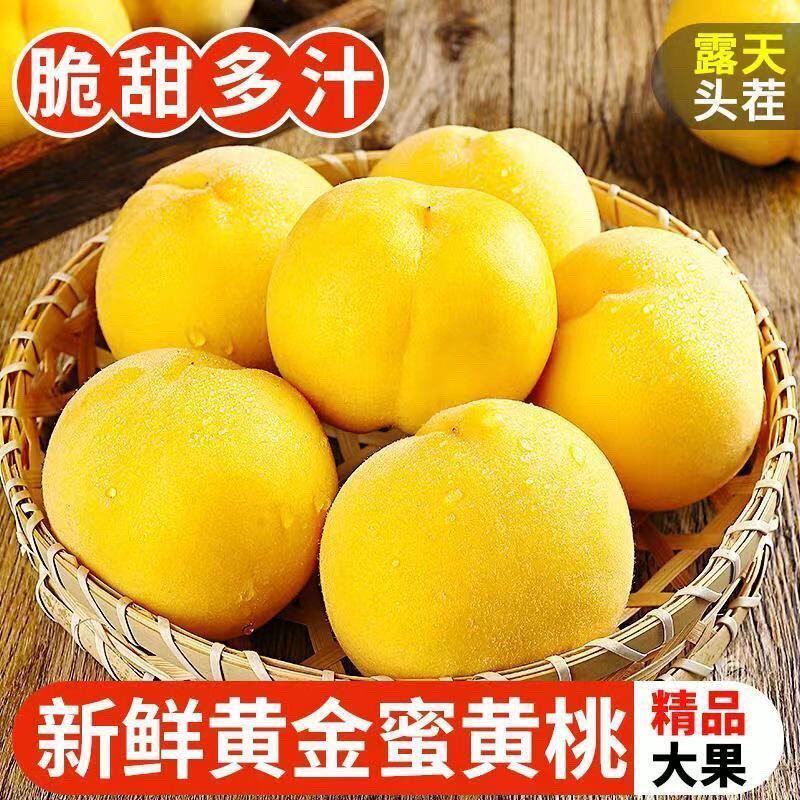 【】新鲜现摘头茬黄桃当季水果香甜可口