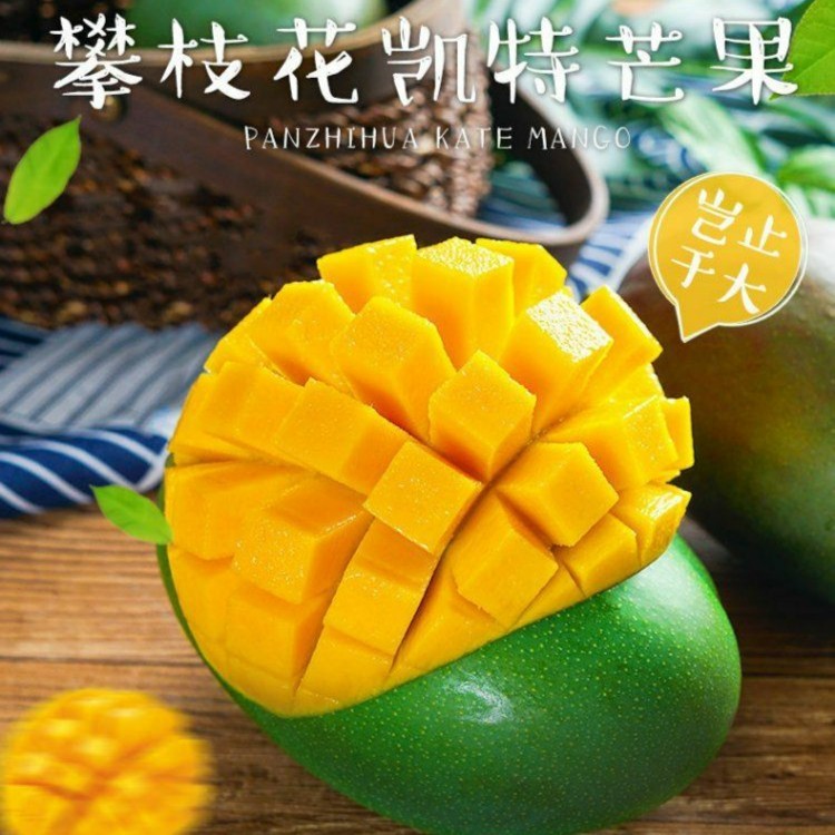 攀枝花凯特芒果净重9斤单果500g+催熟后食用 昆明攀枝花两仓发货