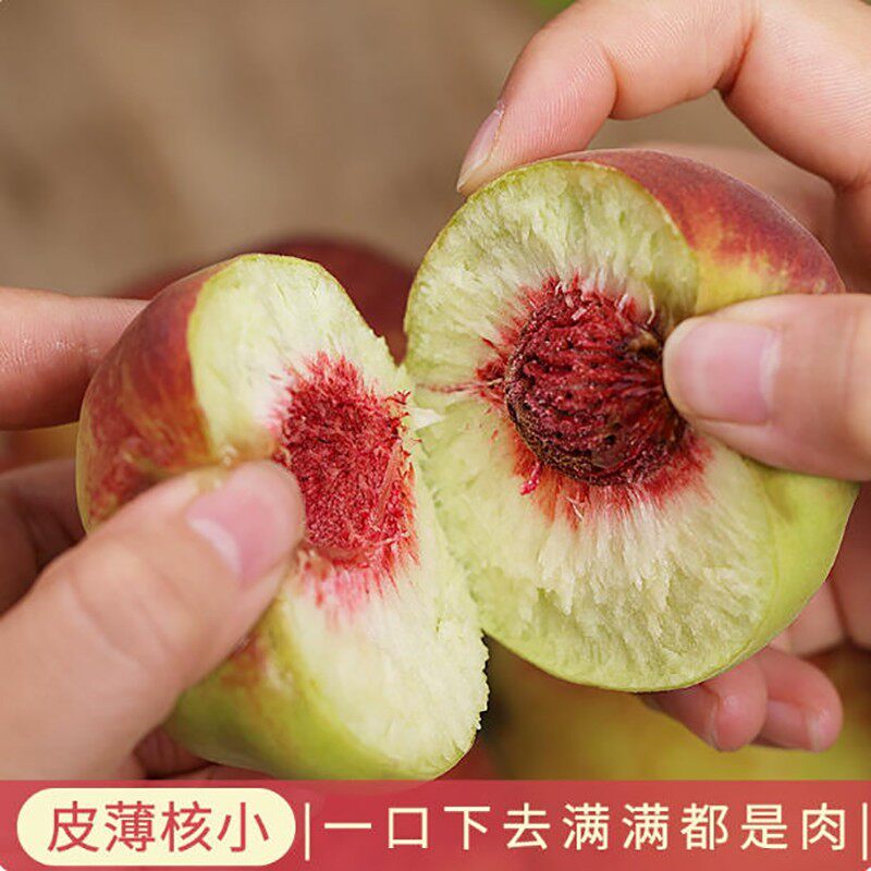 【小时候的味道】青州蜜桃脆甜多汁脆桃子毛桃新鲜