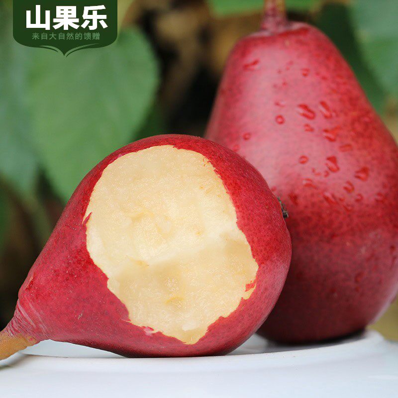 【坏果包赔】新鲜红啤梨当季现摘梨子皮薄精选放软吃甜蜜爆汁水果