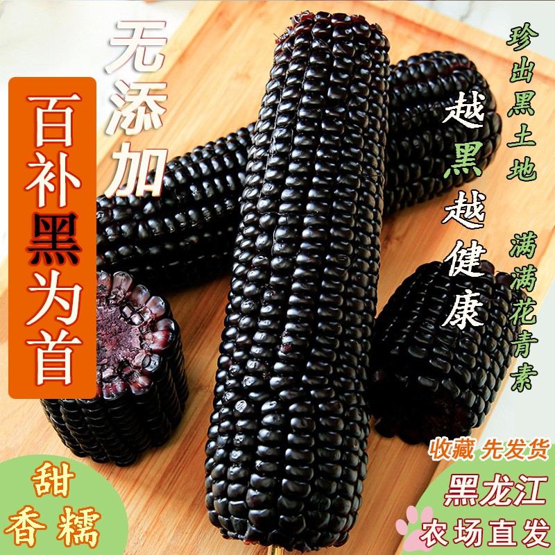 含试吃2根】大棒10根6斤东北黑糯玉米新鲜代餐甜糯真空包装早餐粗