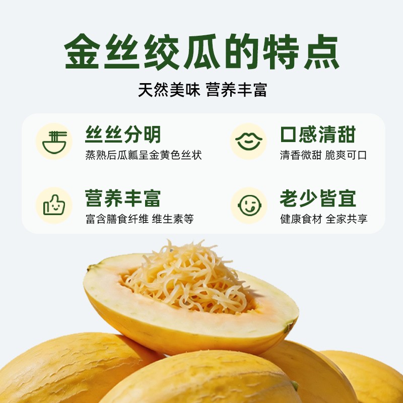 金丝绞瓜泗县特产搅瓜头茬新鲜现摘脆爽当季新鲜蔬果3斤装精装瓜