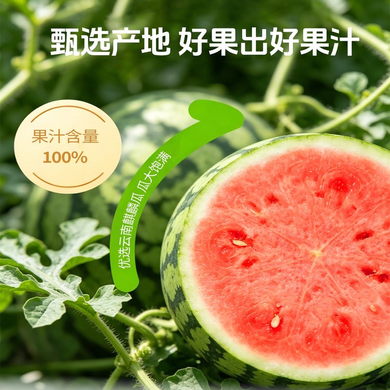 【颜小萌】西瓜汁250ml*10盒整箱夏天解渴清爽麒麟西瓜果汁饮品TL
