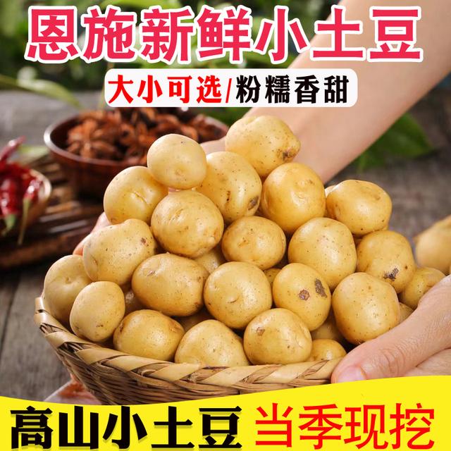 网红恩施黄心小土豆呀新鲜蔬菜3/5/9斤迷你马铃薯洋芋[粉糯香甜]